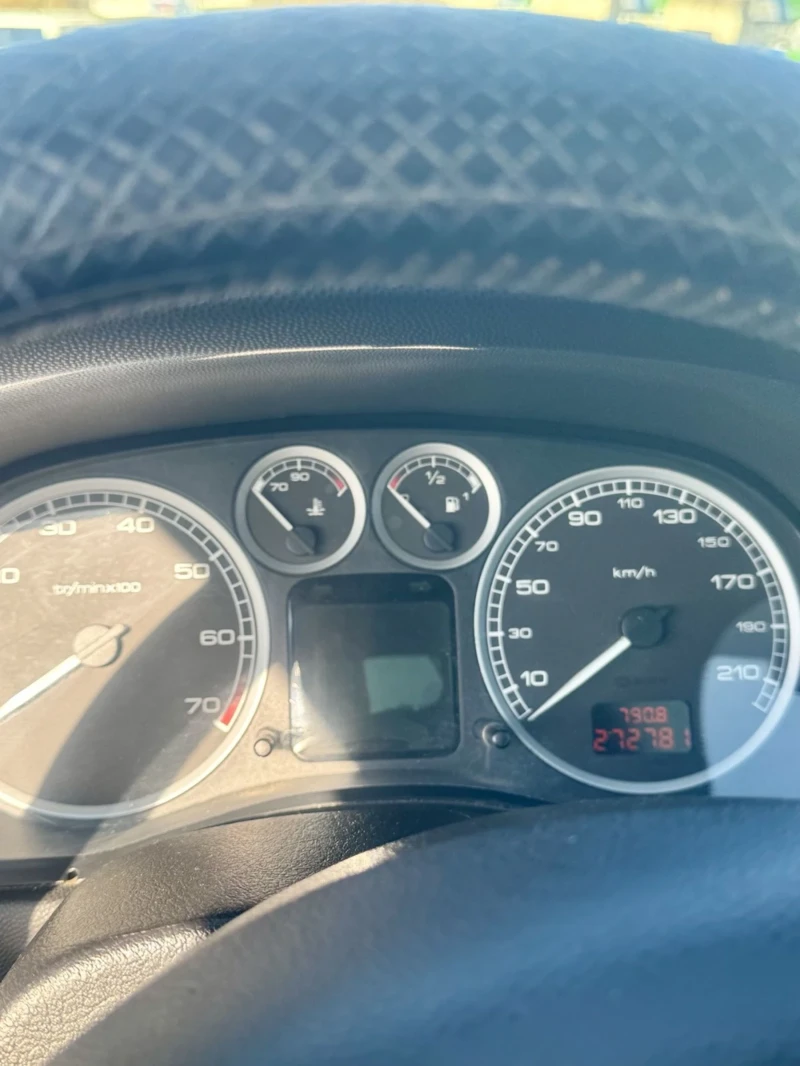 Peugeot 307 1600 cm3, снимка 7 - Автомобили и джипове - 53263069