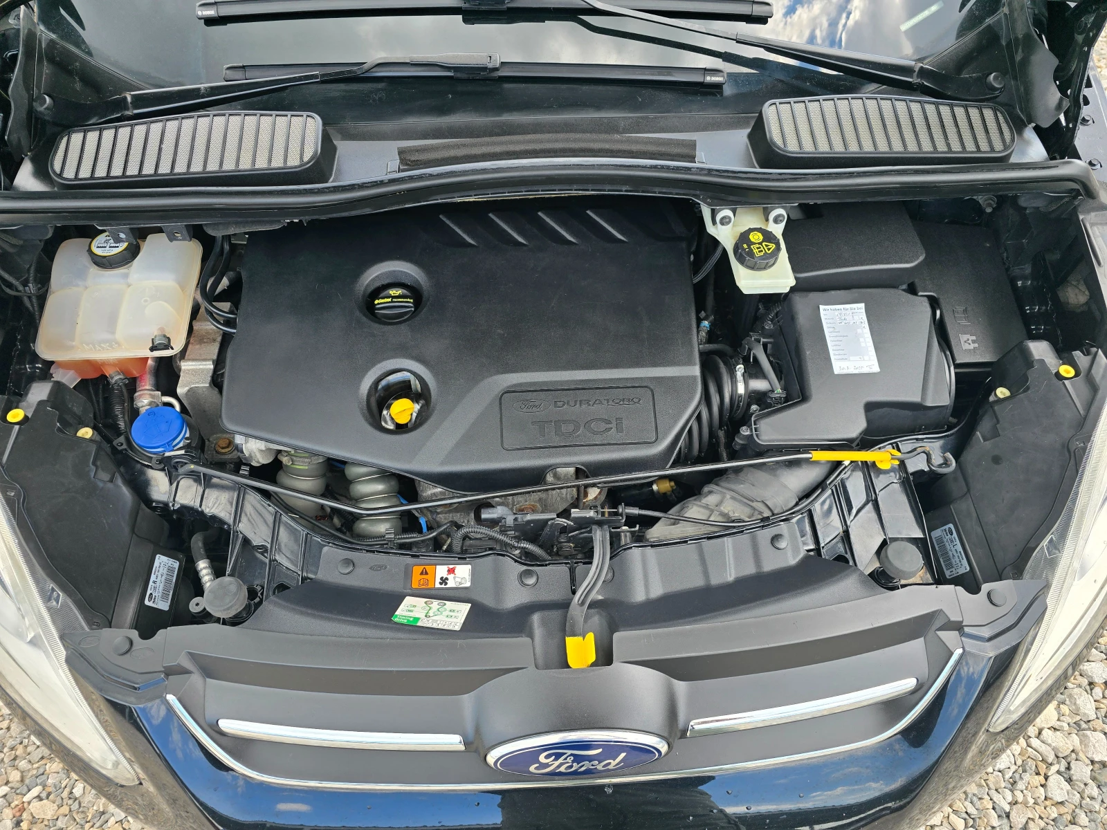 Ford C-max 1.6 TDCI 95кс7 МЕСТА , снимка 16 - Автомобили и джипове - 54674869