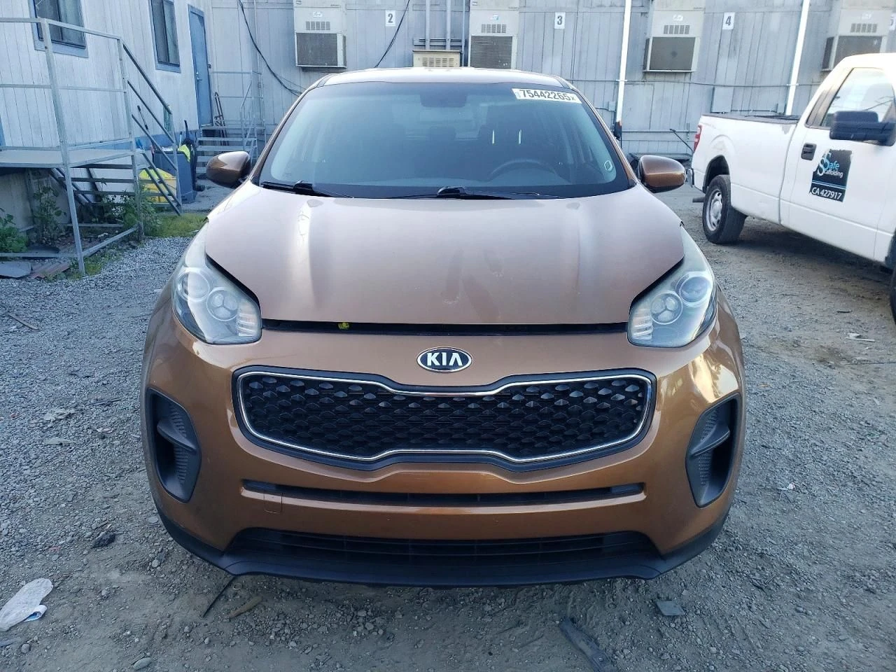 Kia Sportage  - изображение 5