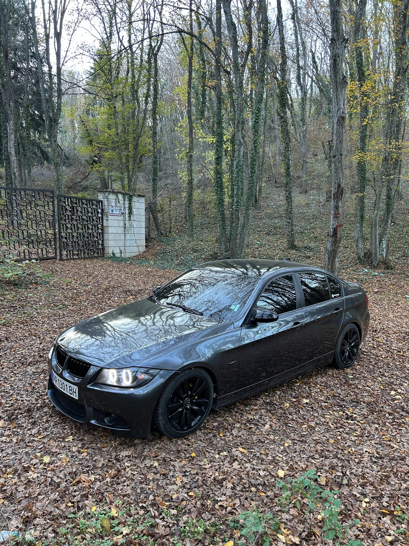 BMW 320 163hp navi - изображение 3