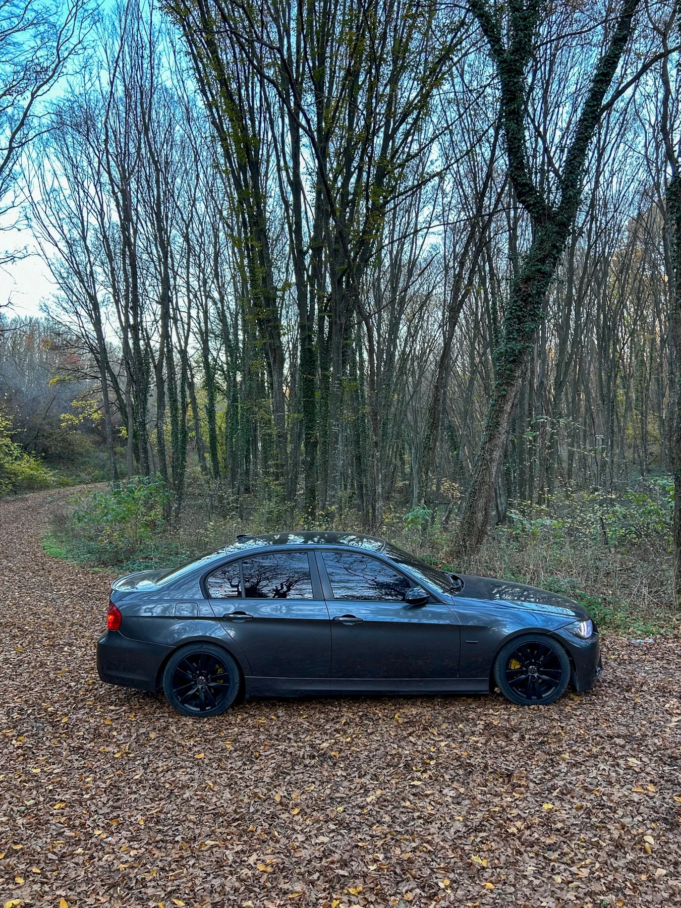 BMW 320 163hp navi - изображение 7