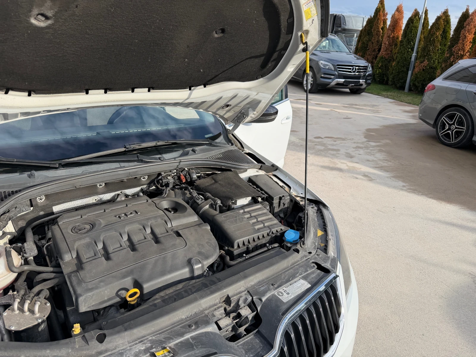 Skoda Octavia * TOP*  | Mobile.bg � ����������� 14