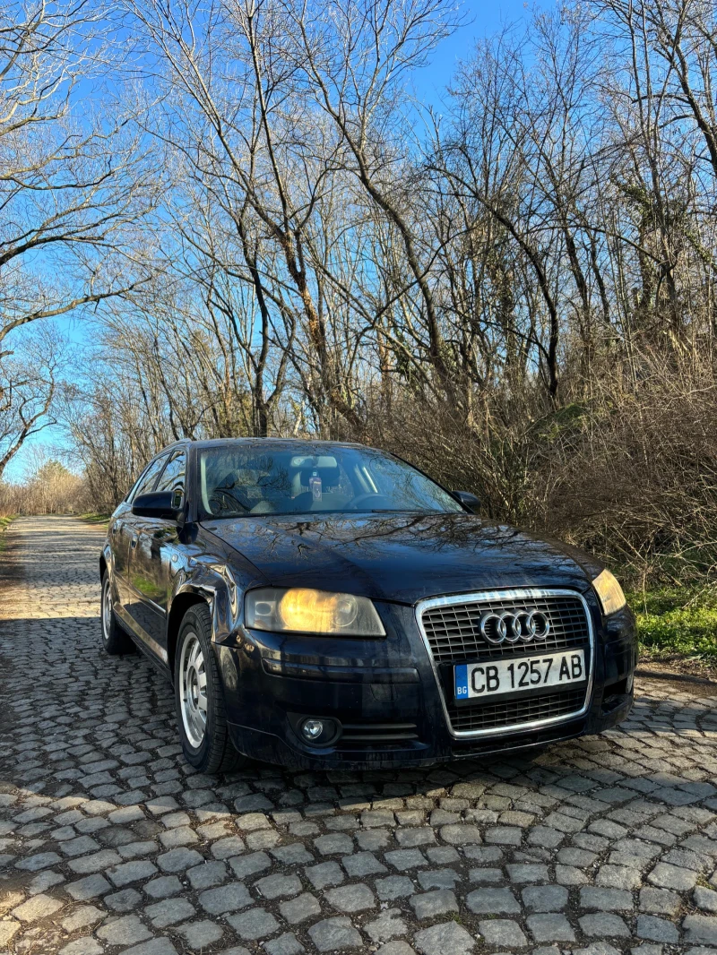 Audi A3 2.0 TDI, снимка 2 - Автомобили и джипове - 48823813