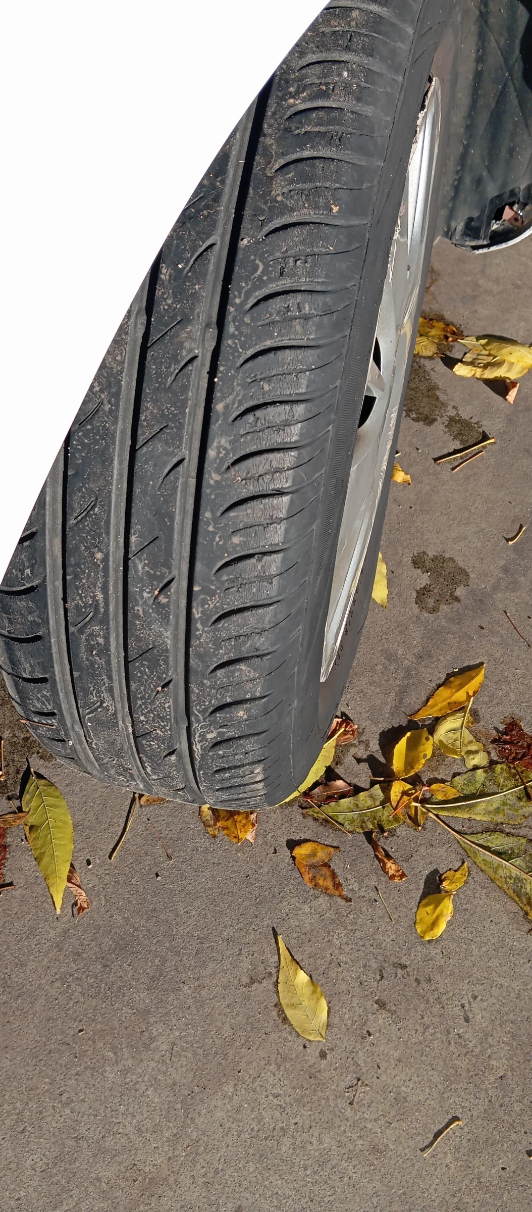 Opel Corsa 1.2i   | Mobile.bg   15