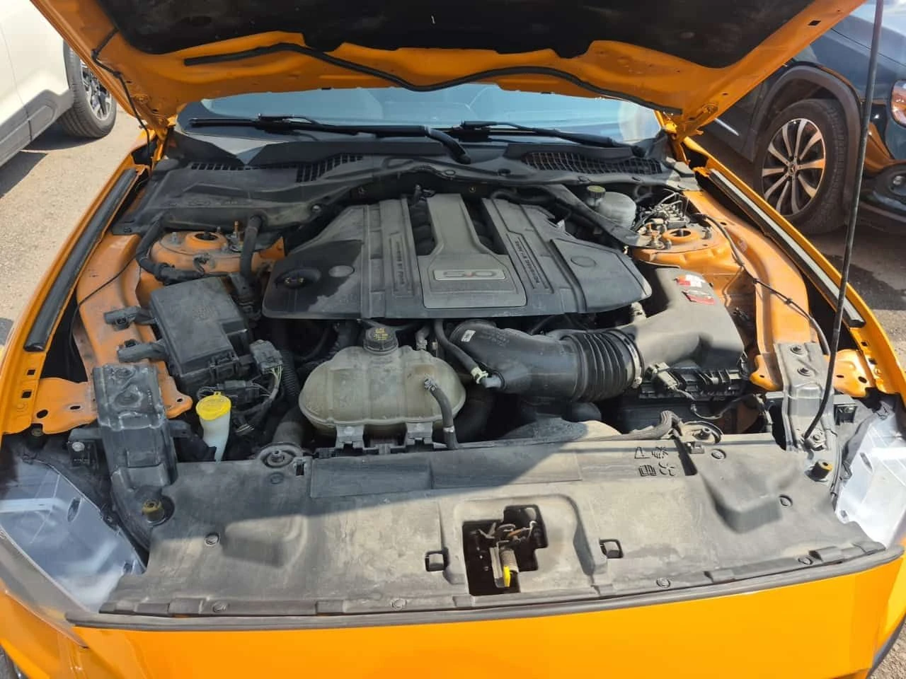 Ford Mustang * GT PREMIUM * ������ * ��� ����� * ���������� *  | Mobile.bg � ����������� 14