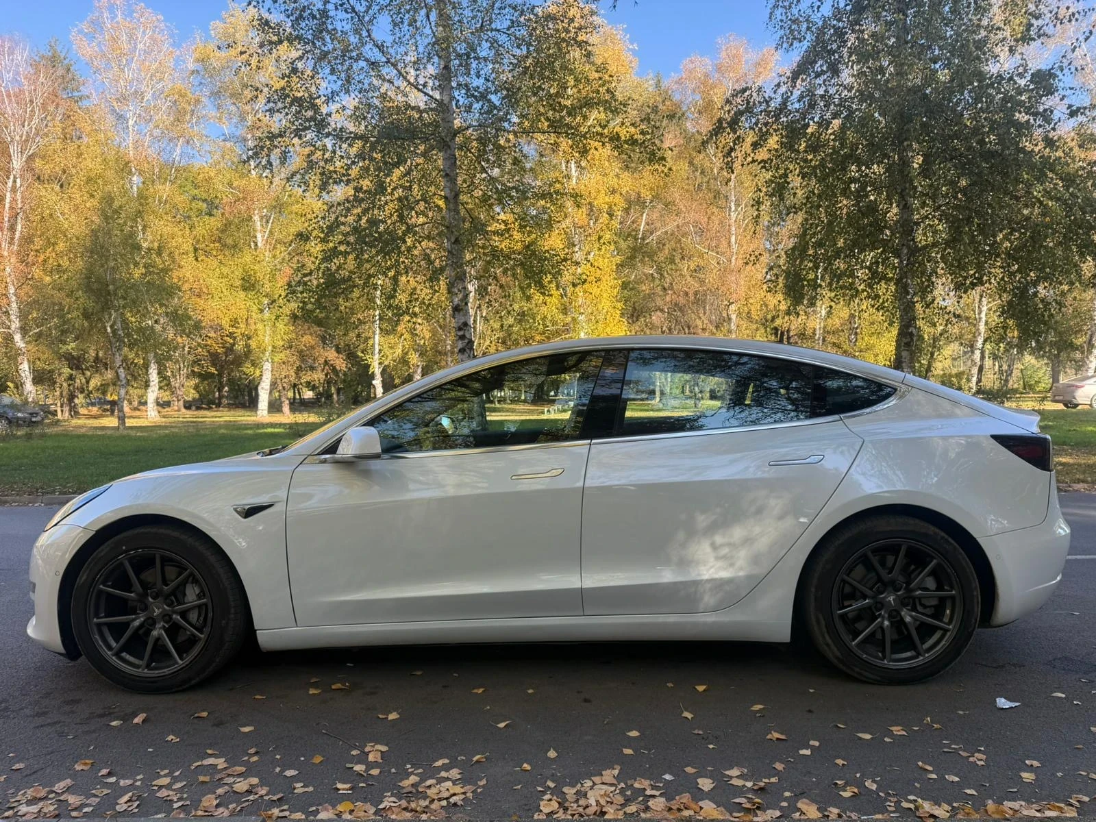 Tesla Model 3  - изображение 5