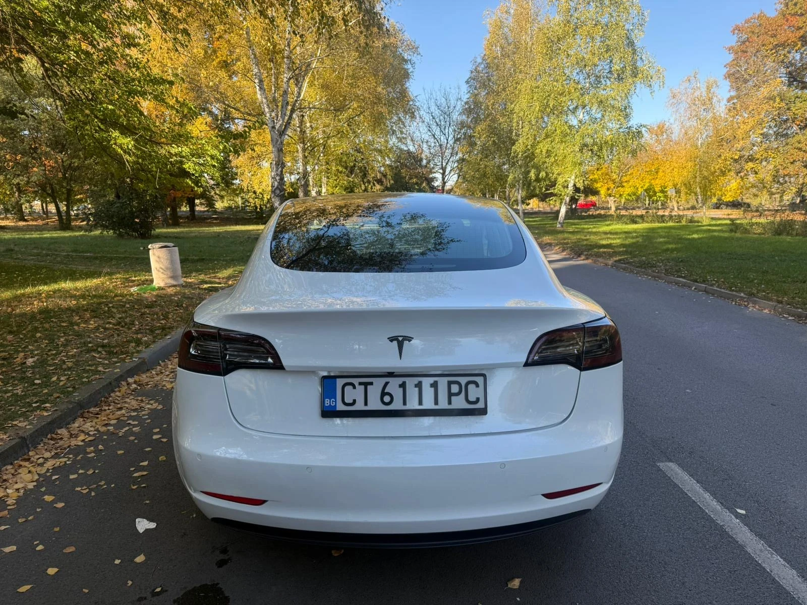 Tesla Model 3  - изображение 6