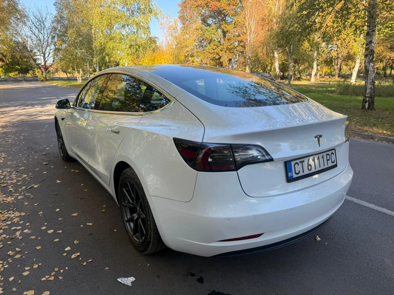 Tesla Model 3  - изображение 4