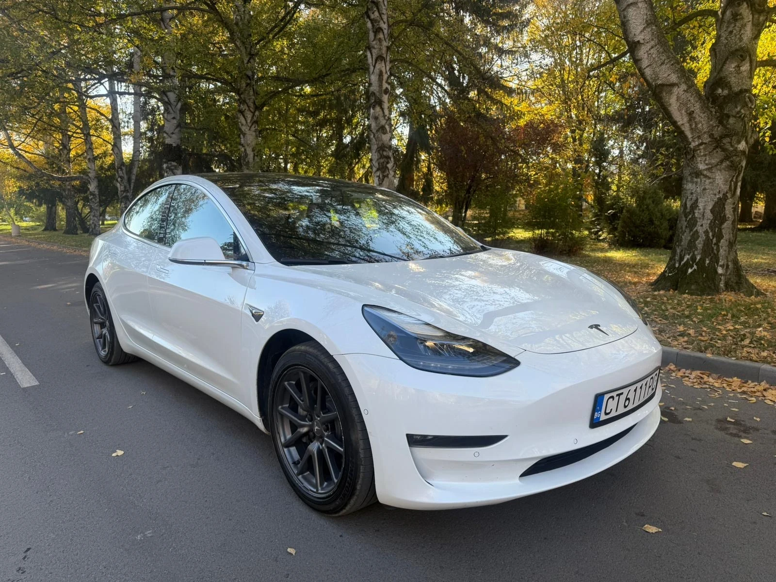 Tesla Model 3  - изображение 2