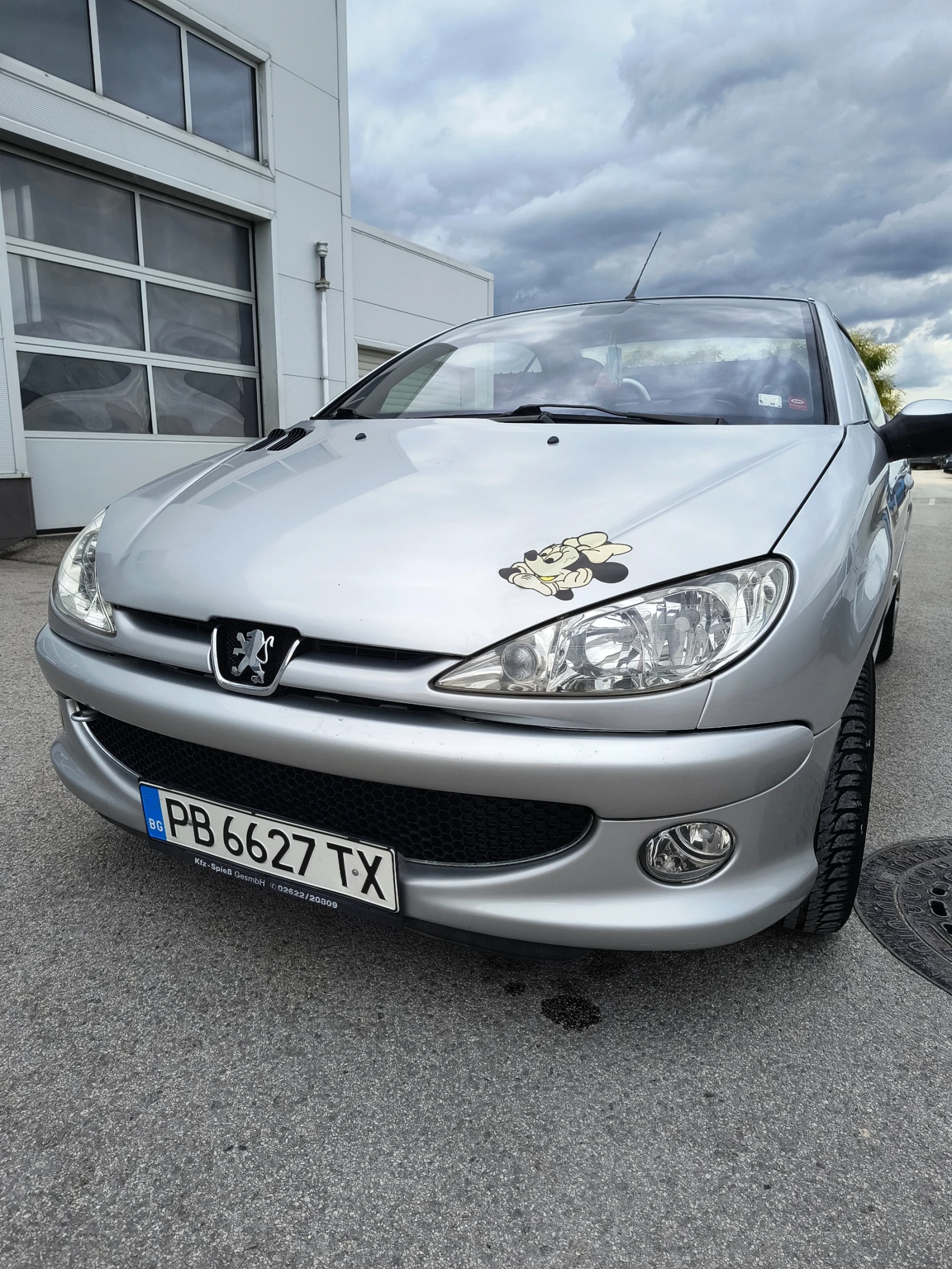 Peugeot 206 206CC, снимка 15 - Автомобили и джипове - 54894217