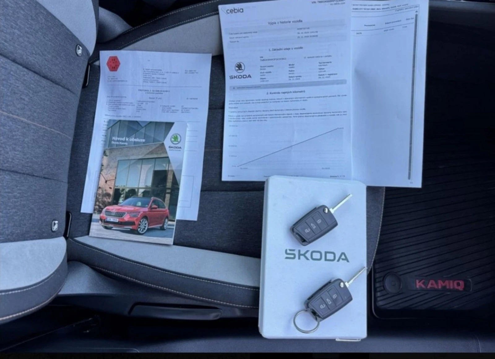 Skoda Kamiq 1.5 TSI CarPlay/AndroidAuto/�������/6��. | Mobile.bg � ����������� 11