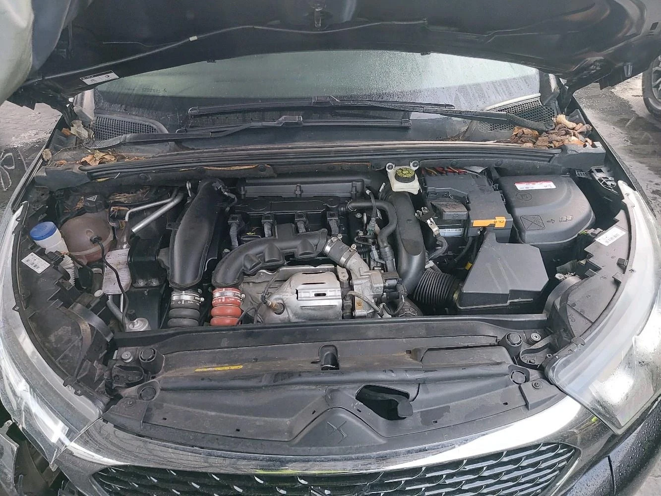 Citroen DS4 1.6THP AUTOMATIC FACE EURO6 | Mobile.bg � ����������� 12