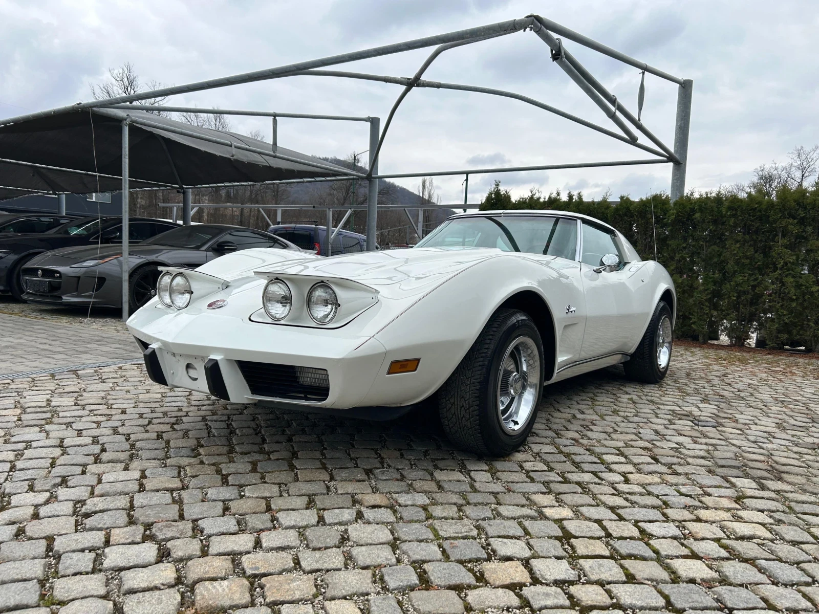 Chevrolet Corvette Stingray C3 1976 5.7l Targa Rare Spec