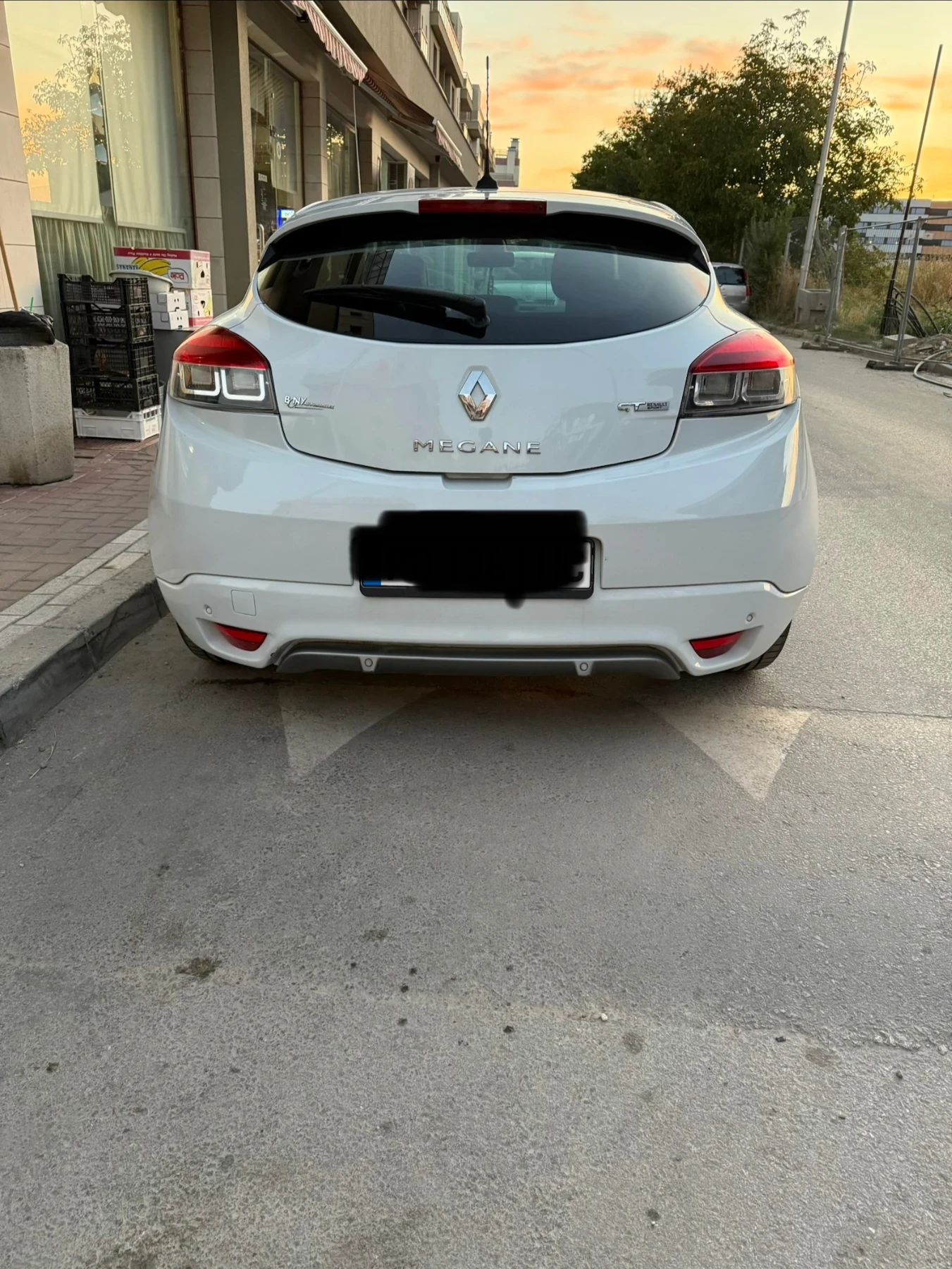Renault Megane GT, снимка 7 - Автомобили и джипове - 55838945