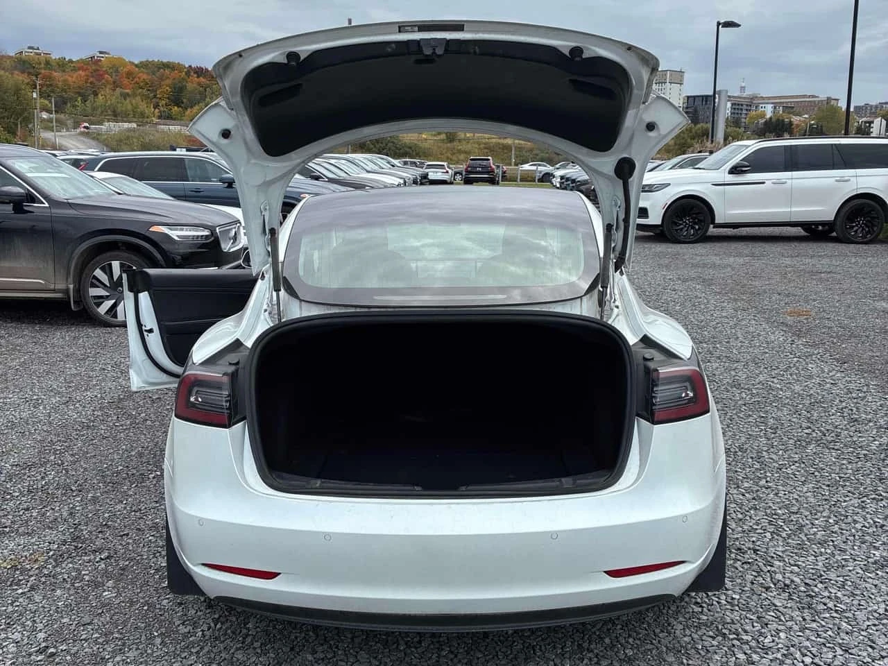 Tesla Model 3 Standard Range Plus* ���������� ��� ������������*  | Mobile.bg � ����������� 11