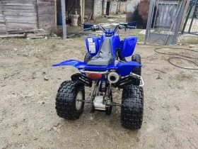 Yamaha Raptor, снимка 3