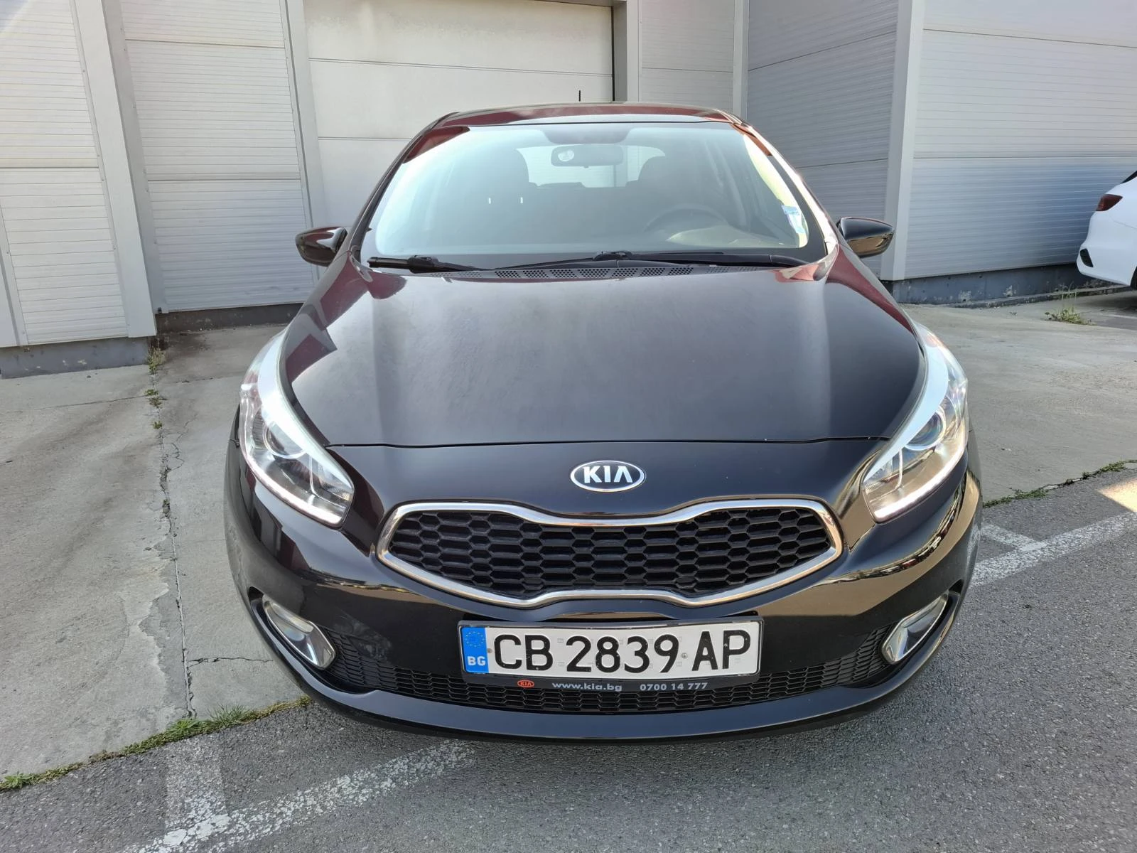 Kia Ceed 1.6 crdi   - изображение 2