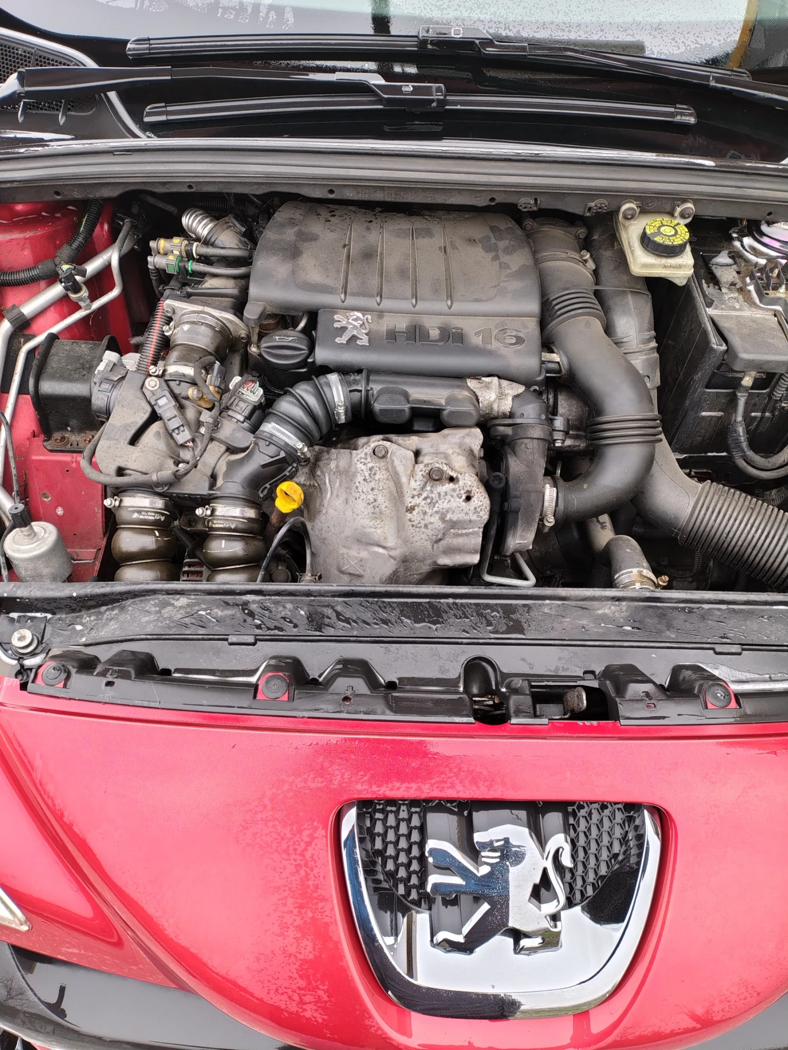 Peugeot 308 | Mobile.bg � ����������� 13