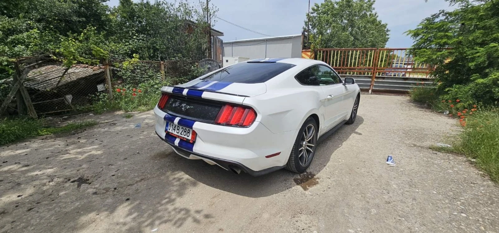 Ford Mustang Ecoboost - изображение 6