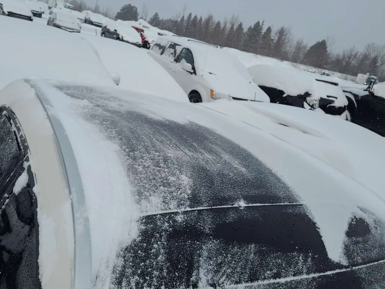 Mercedes-Benz GLA 250 * CARFAX *  ��������* �������� | Mobile.bg � ����������� 13