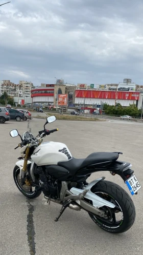  Honda Hornet