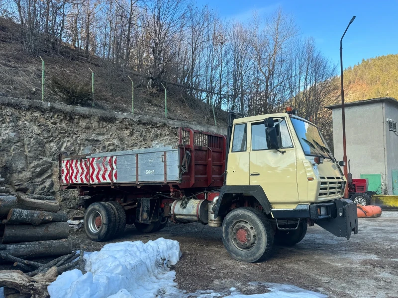 Steyr 26s31 4x4, снимка 3 - Камиони - 48983044