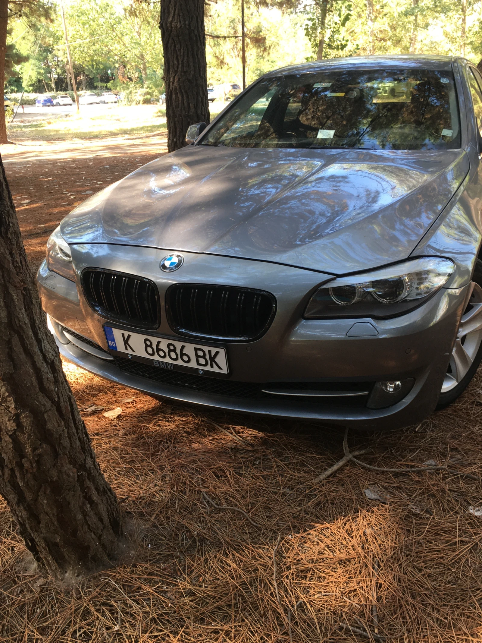 BMW 520, снимка 12 - Автомобили и джипове - 54081358