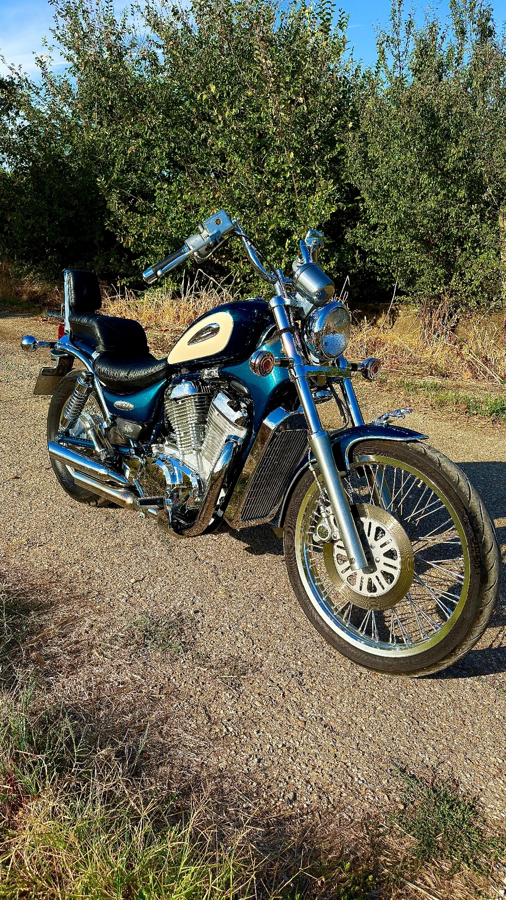 Suzuki Intruder VS800, снимка 1