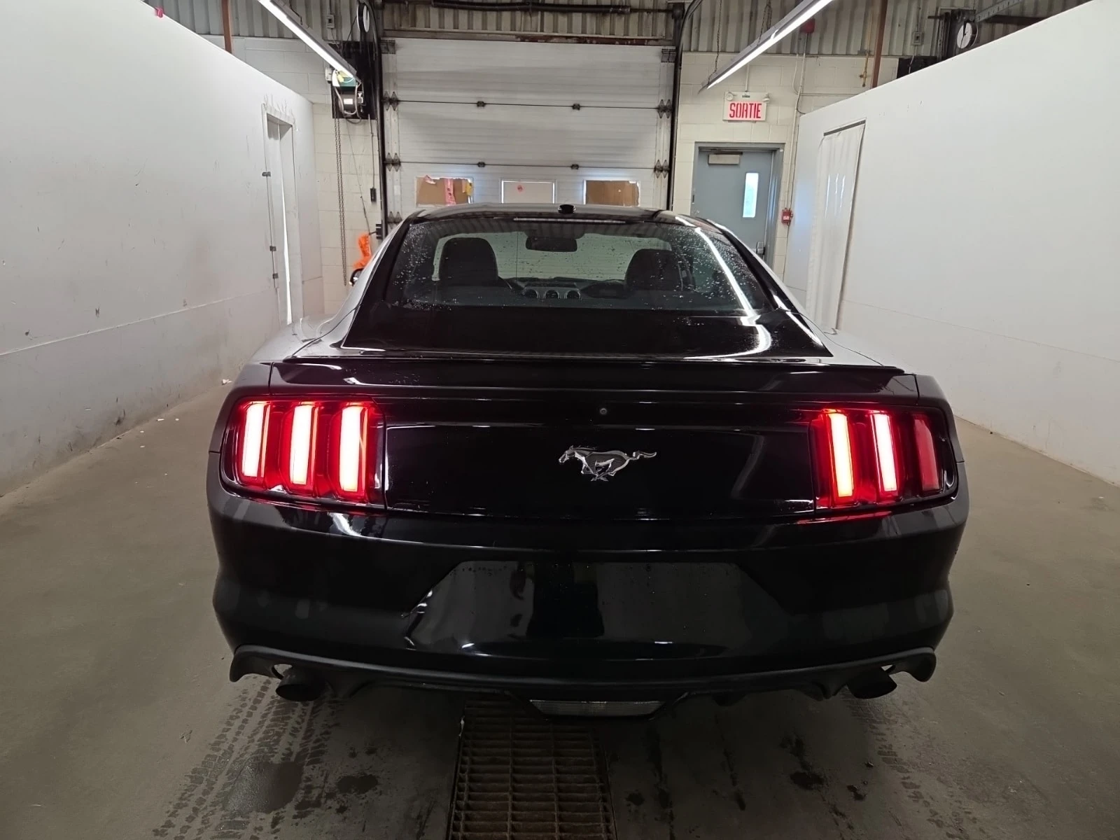 Ford Mustang * ECOBOOST * PREMIUM PKG * CARFAX * , снимка 17 - Автомобили и джипове - 55879276