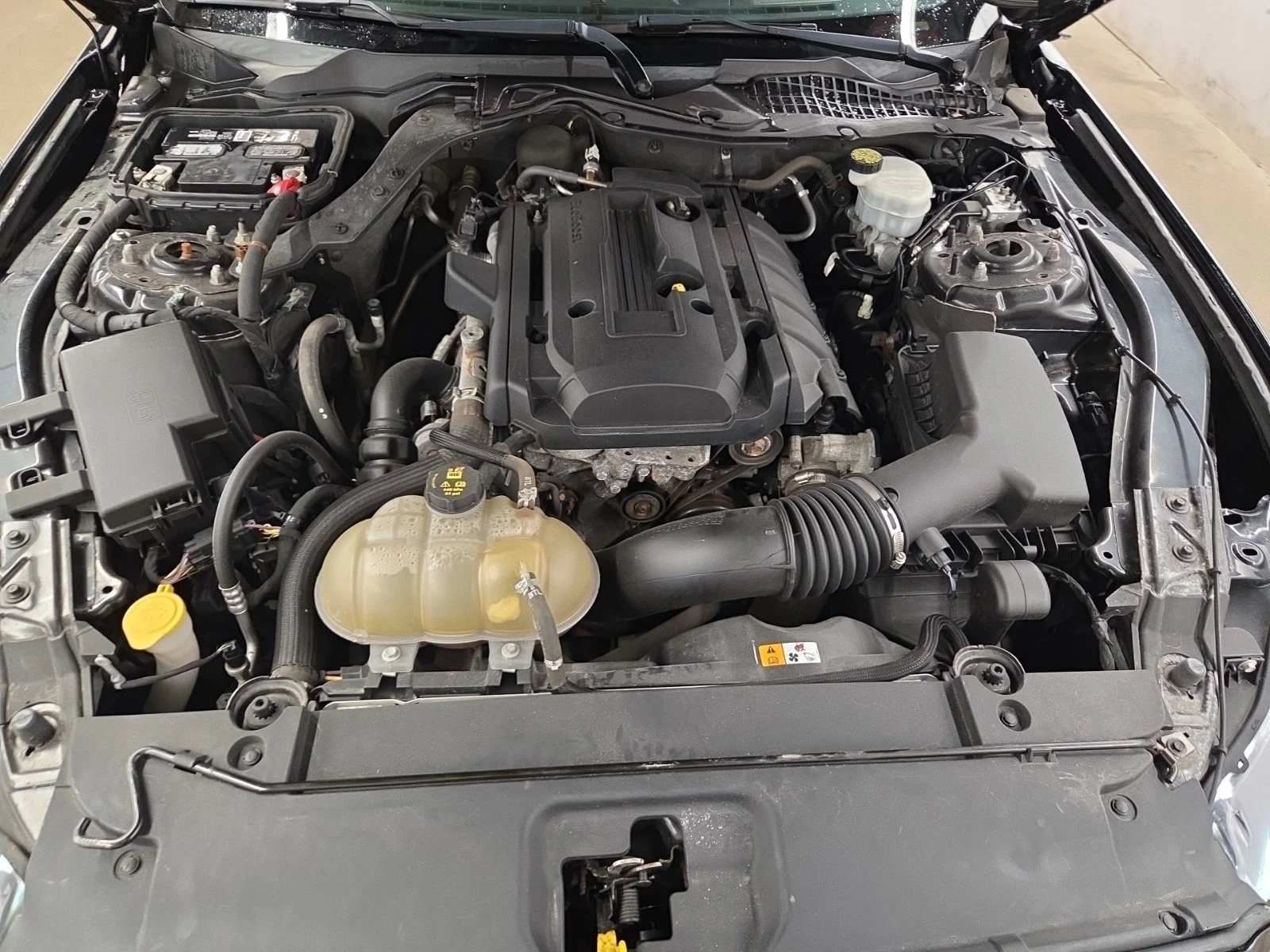 Ford Mustang * ECOBOOST * PREMIUM PKG * CARFAX * , снимка 16 - Автомобили и джипове - 55879276