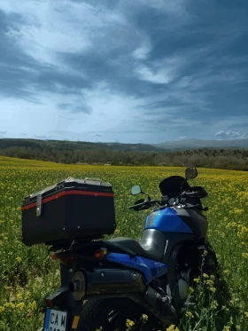 Suzuki DL V-Strom 650, снимка 5