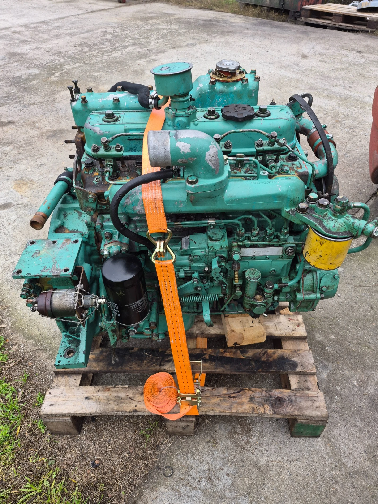  Cat  | Mobile.bg   10