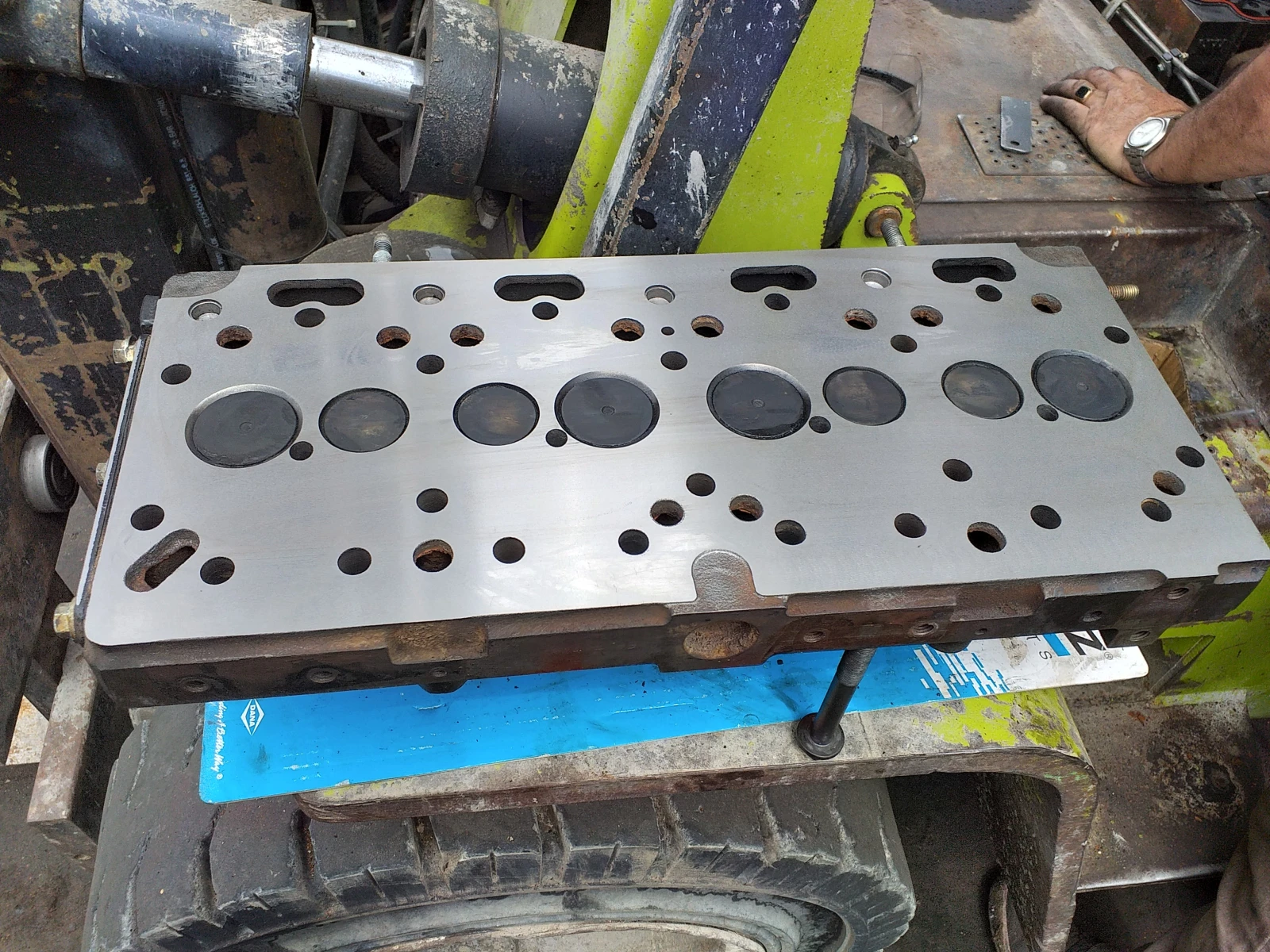  Cat  | Mobile.bg   13