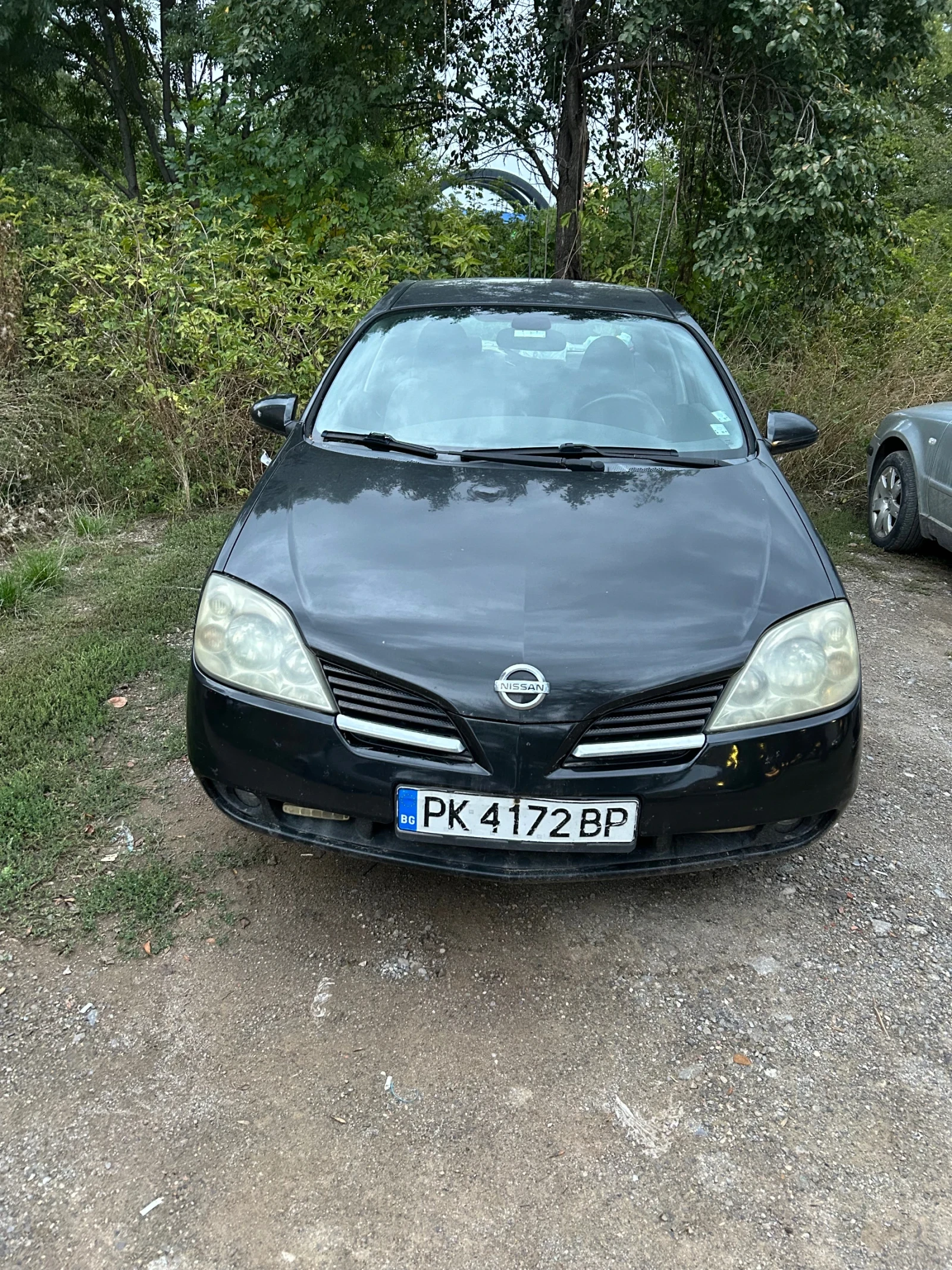 Nissan Primera P12 - изображение 2