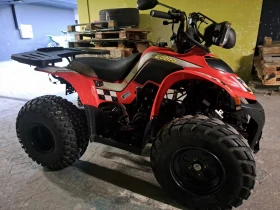    Aeon Cobra   