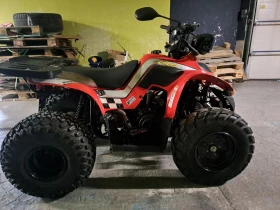     Aeon Cobra   