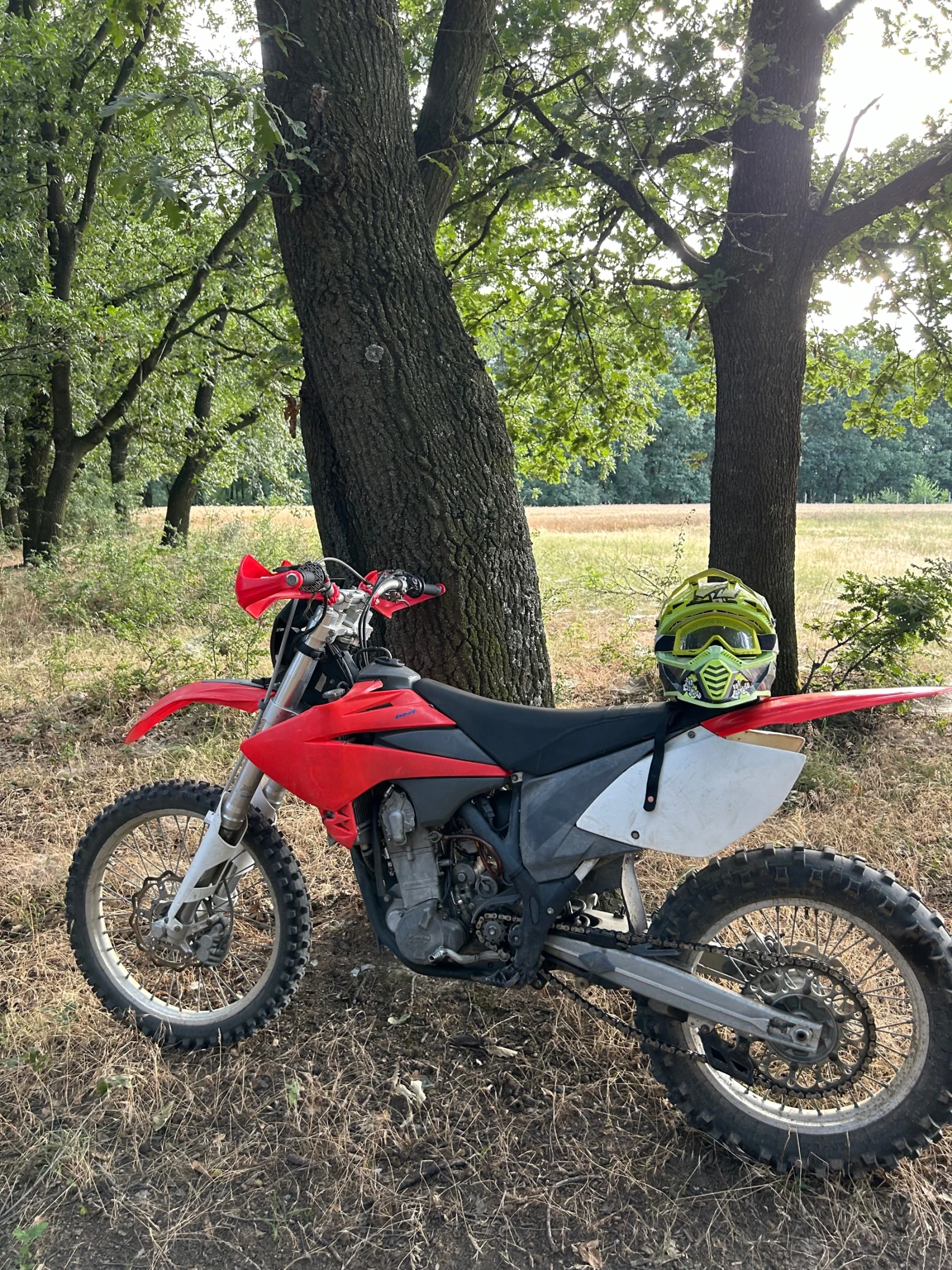 Beta Rr