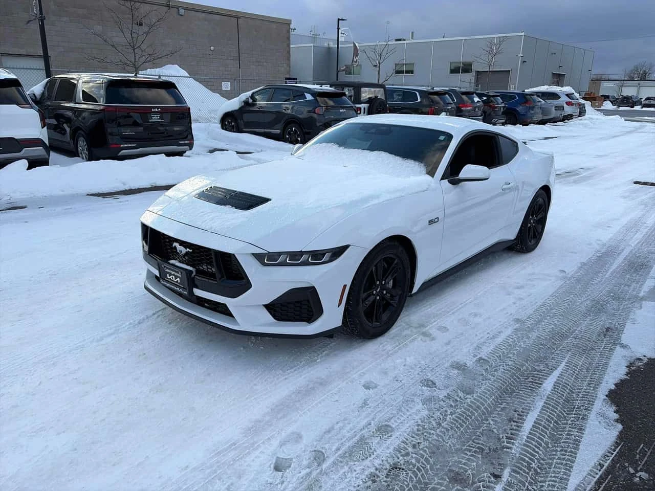 Ford Mustang GT  CARFAX | Mobile.bg � ����������� 1