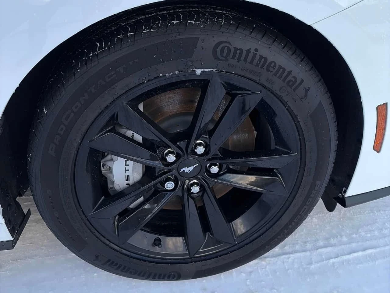 Ford Mustang GT  CARFAX - изображение 7