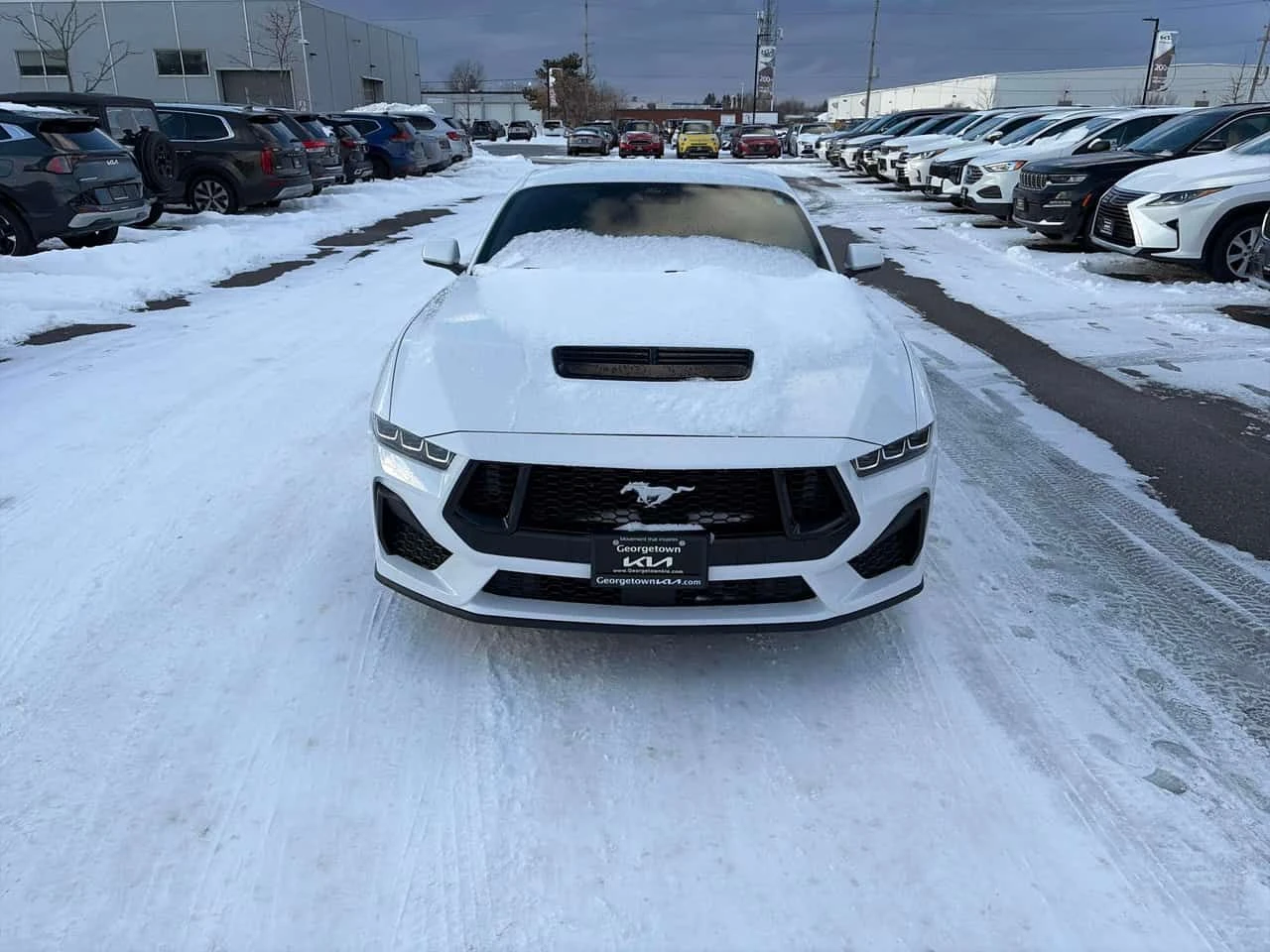 Ford Mustang GT  CARFAX - изображение 6