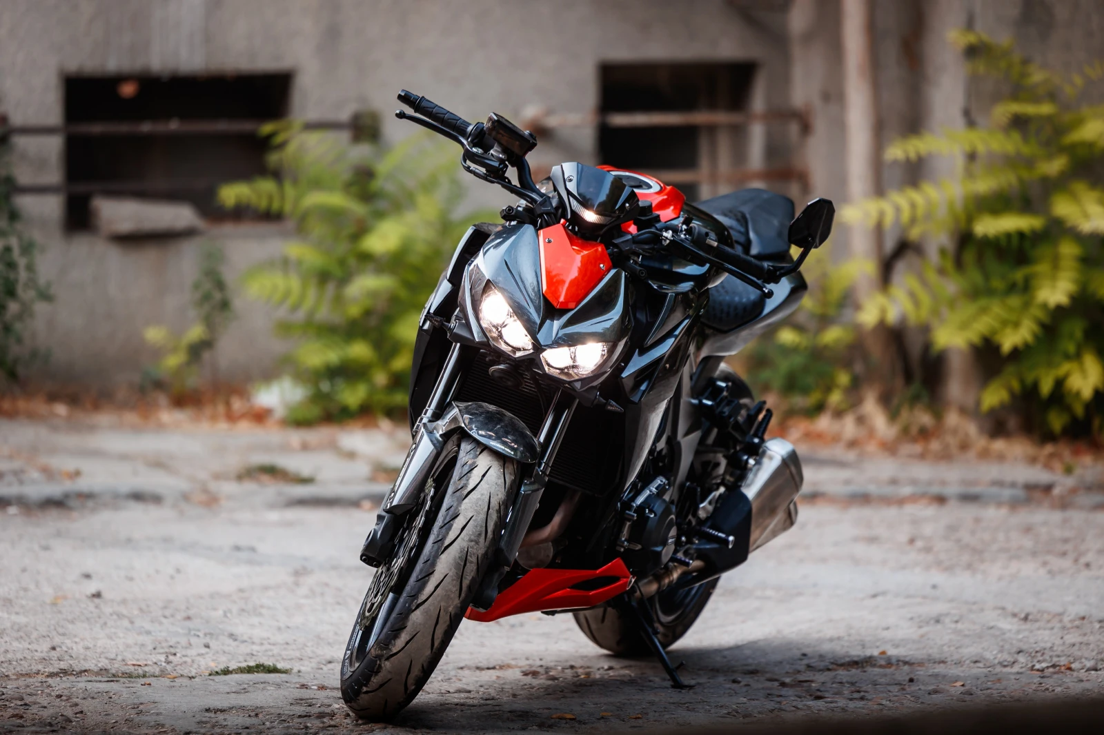 Kawasaki Z 1000-ABS - изображение 5