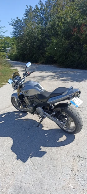  Honda Hornet