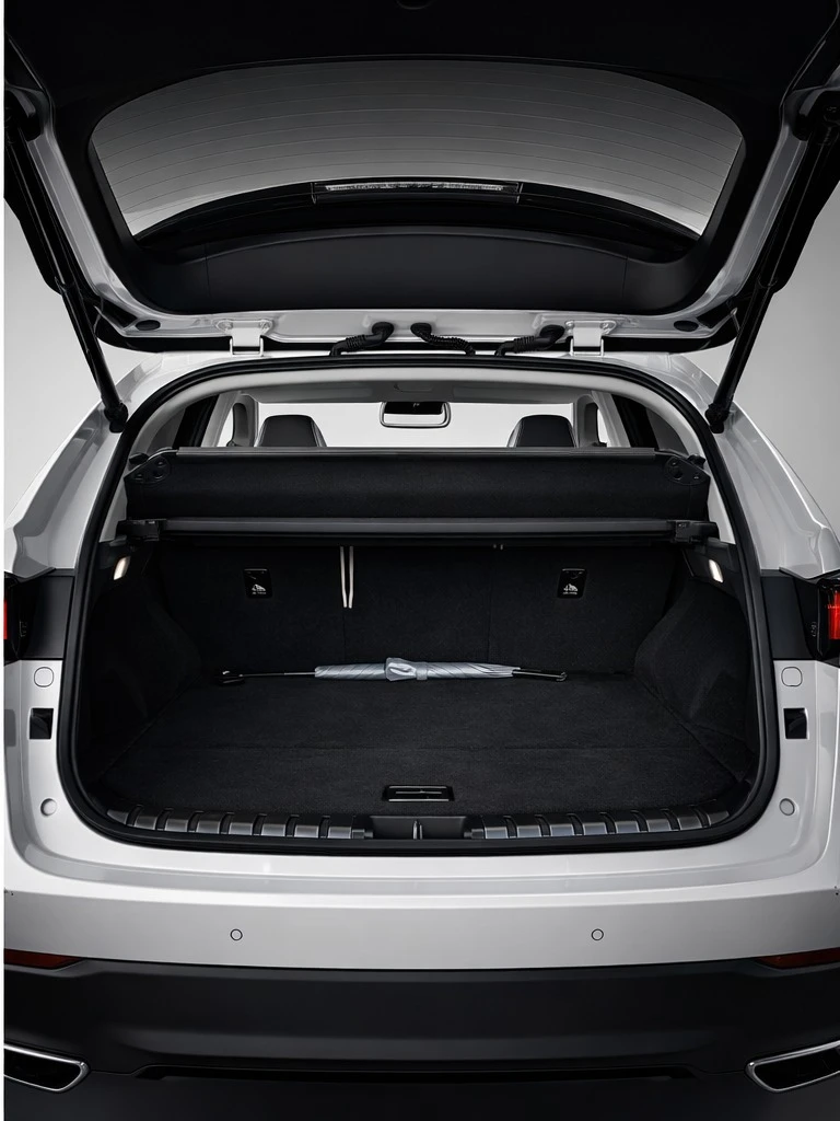 Lexus NX 300H, снимка 8 - Автомобили и джипове - 54069214