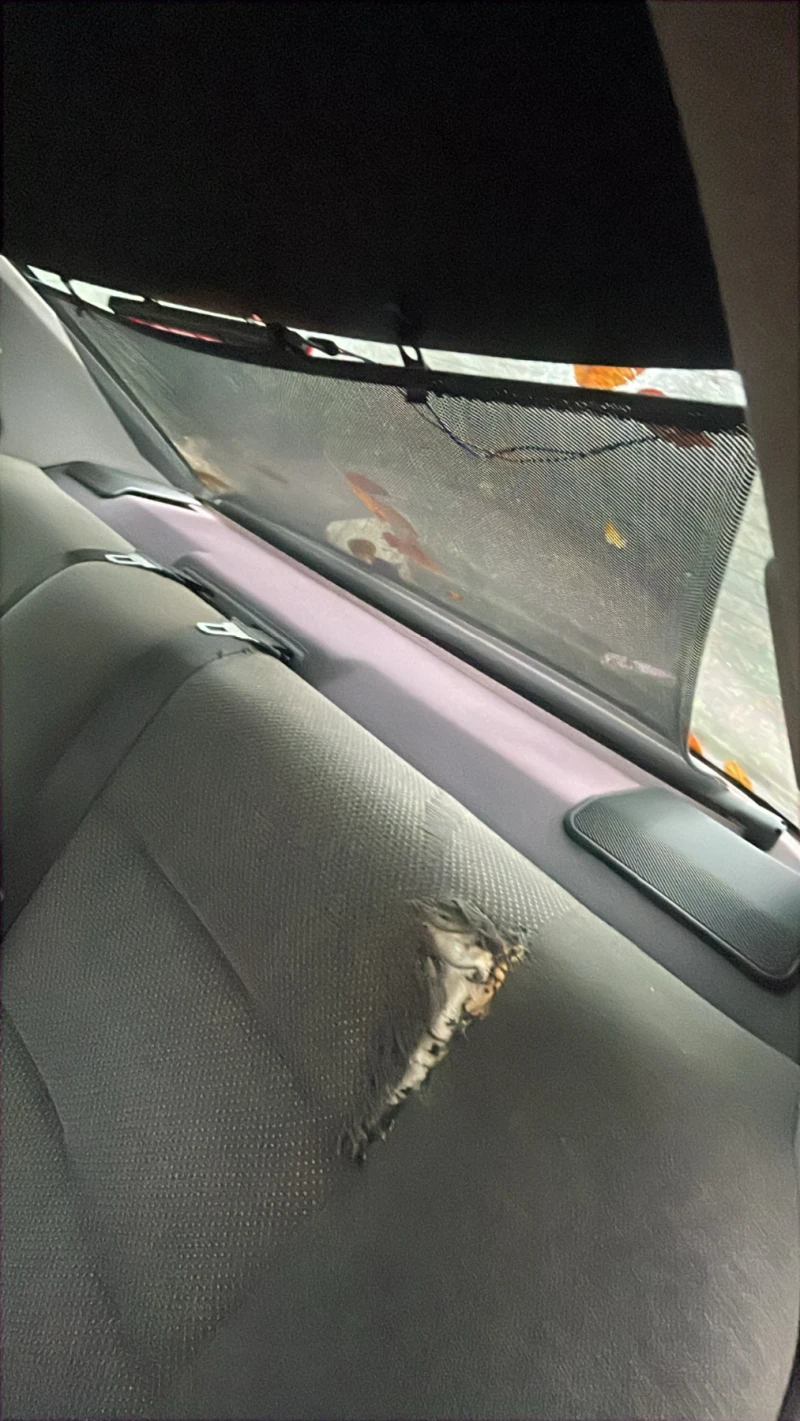 BMW 316, снимка 15 - Автомобили и джипове - 52433281