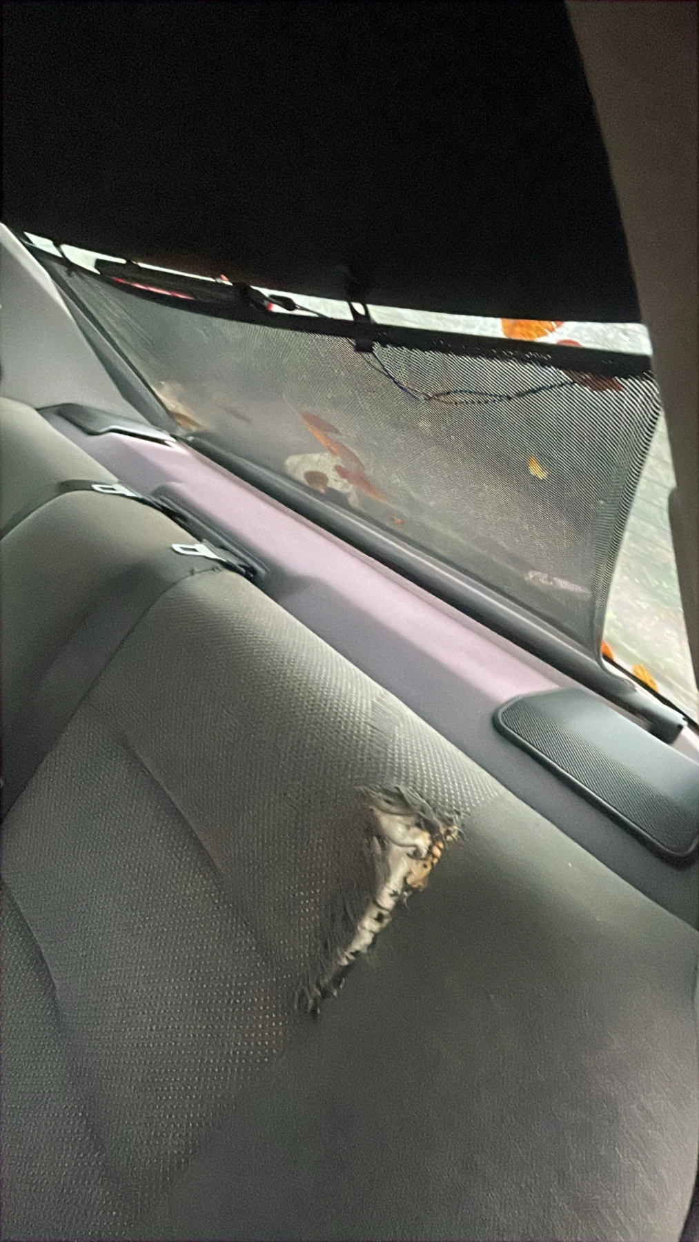 BMW 316 | Mobile.bg � ����������� 15