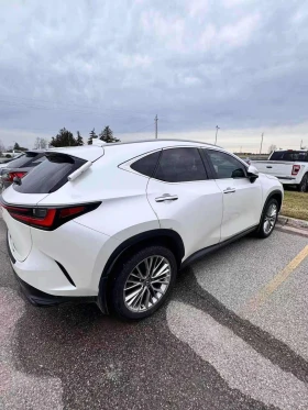 Lexus NX 350h  С РЕГИСТРАЦИЯ & АВТО КРЕДИТ , снимка 3