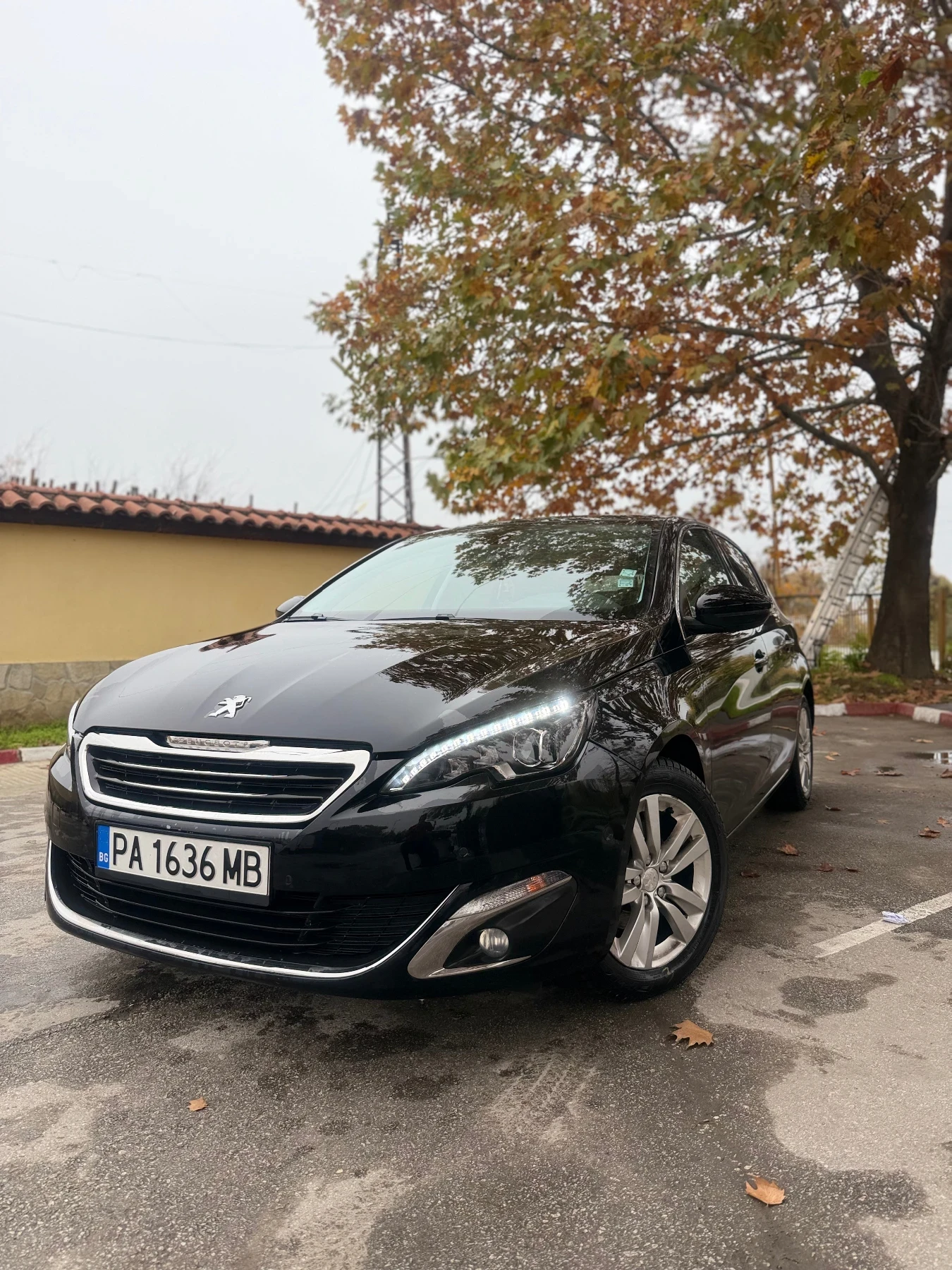 Peugeot 308 1.6HDI/KOJA/PODGREV/KAMERA/FULL/ | Mobile.bg   2