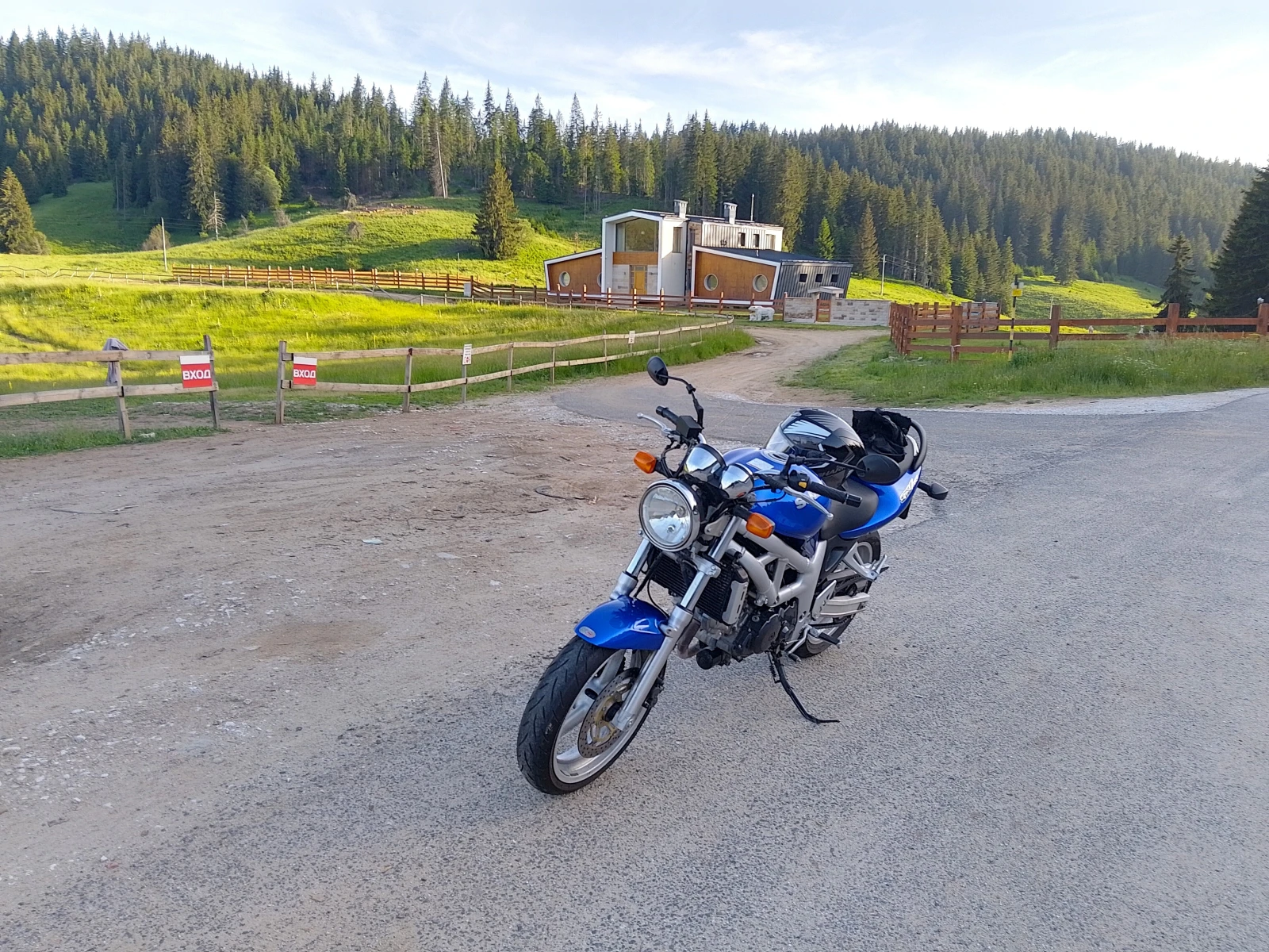 Suzuki SV  - изображение 9