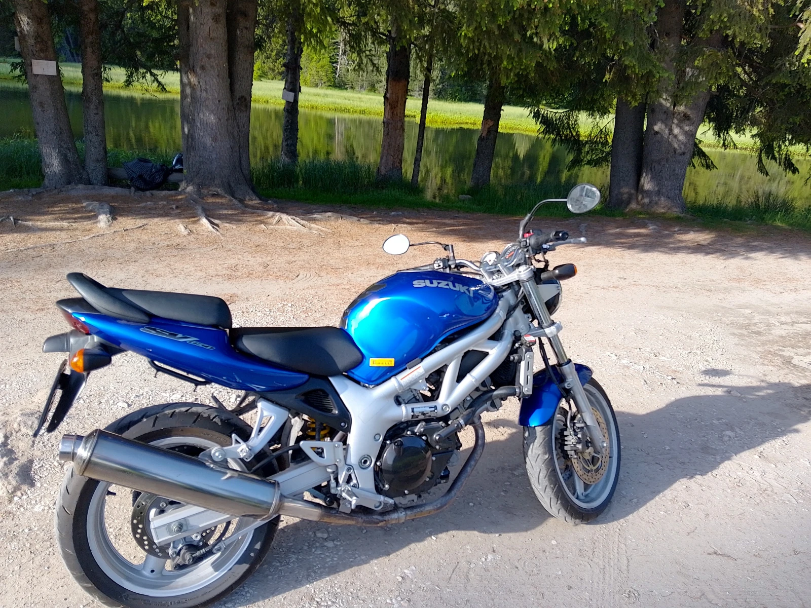 Suzuki SV  - изображение 2