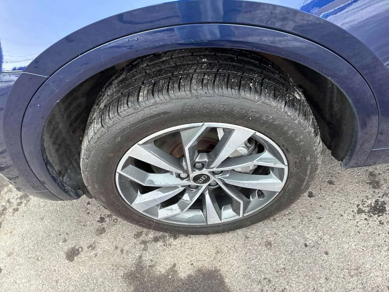 Audi Q5 Progressiv/���������/���������/��������  | Mobile.bg � ����������� 6